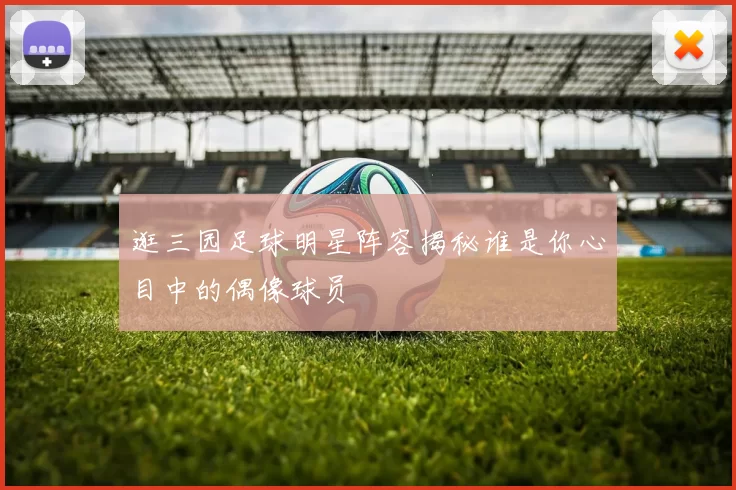 逛三园足球明星阵容揭秘谁是你心目中的偶像球员