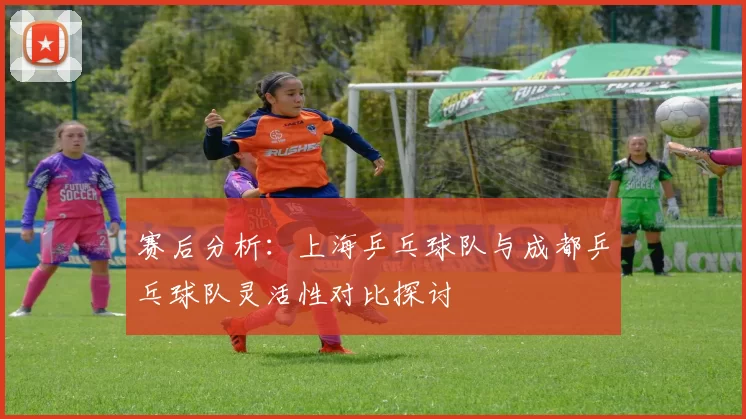 赛后分析：上海乒乓球队与成都乒乓球队灵活性对比探讨