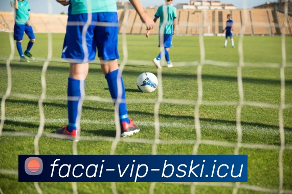 MK体育平台生态图